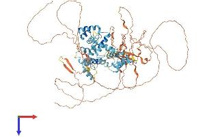 DMP1 Protein (AA 1-761) (His tag)