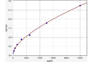 CMTM6 ELISA Kit