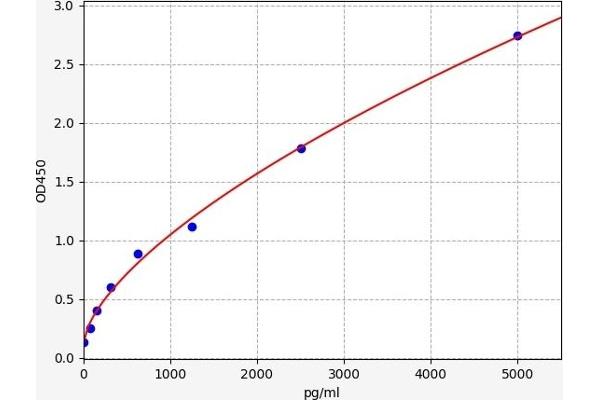 CMTM6 ELISA Kit