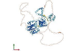 Protein Structure (PS) image for DEAD (Asp-Glu-Ala-Asp) Box Polypeptide 21 (DDX21) (AA 1-783) protein (His tag) (ABIN7553650)
