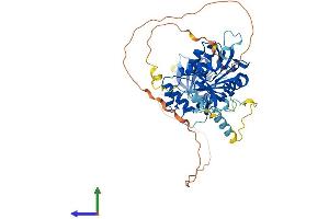 Protein Structure (PS) image for Enhancer of mRNA Decapping 3 (EDC3) (AA 1-508) protein (His tag) (ABIN7559501)