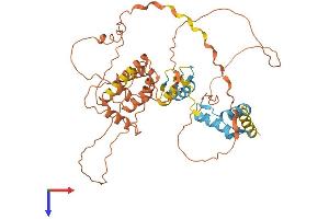 ZBTB12 Protein (AA 1-459) (His tag)