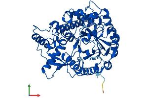Protein Structure (PS) image for Glucosidase, Beta, Acid 3 (Cytosolic) (GBA3) (AA 1-469) protein (His tag) (ABIN7547864)