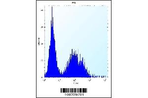 Flow cytometric analysis of 293 cells (right histogram) compared to a negative control cell (left histogram). (TSSK6 Antikörper  (C-Term))