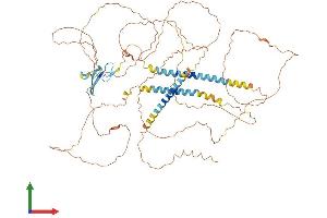 Protein Structure (PS) image for Neuregulin 3 (NRG3) (AA 1-713) protein (His tag) (ABIN7562278)