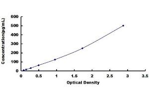 Complement Component 5a (C5a) ELISA Kit