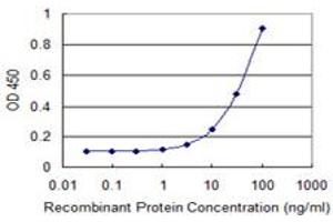 Detection limit for recombinant GST tagged TBX21 is 1 ng/ml as a capture antibody. (T-Bet Antikörper  (AA 387-486))