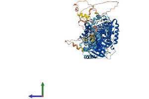 AlphaFold protein structure predicition of Mouse Recombinant Slc12a4 Protein, UniprotID Q9JIS8