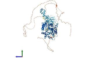 Protein Structure (PS) image for DEAD (Asp-Glu-Ala-Asp) Box Polypeptide 21 (DDX21) (AA 1-783) protein (His tag) (ABIN7553650)