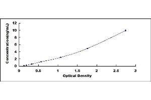 Typical standard curve (KIF1A ELISA Kit)