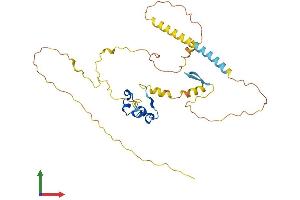 Protein Structure (PS) image for CXXC Finger Protein 5 (CXXC5) (AA 1-317) protein (His tag) (ABIN7560024)