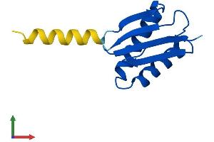 AlphaFold protein structure predicition of Human Recombinant DNAL4 Protein, UniprotID O96015