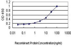 Detection limit for recombinant GST tagged HHEX is approximately 0. (HHEX Antikörper  (AA 1-270))