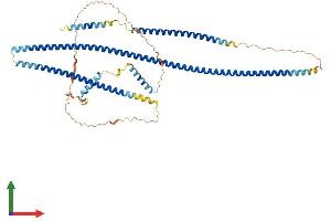 Protein Structure (PS) image for TRAF3 Interacting Protein 3 (TRAF3IP3) (AA 1-551) protein (His tag) (ABIN7544149)