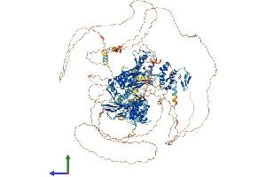 AlphaFold protein structure predicition of Mouse Recombinant Hecw1 Protein, UniprotID Q8K4P8