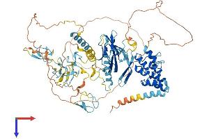 AlphaFold protein structure predicition of Human Recombinant DZANK1 Protein, UniprotID Q9NVP4