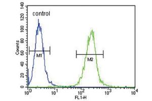 Flow Cytometry (FACS) image for anti-serine Peptidase Inhibitor, Kazal Type 5 (SPINK5) antibody (ABIN3002847)