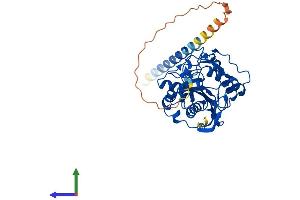 Protein Structure (PS) image for UDP-Gal:betaGlcNAc beta 1,4- Galactosyltransferase, Polypeptide 2 (B4GALT2) (AA 1-372) protein (His tag) (ABIN7552599)