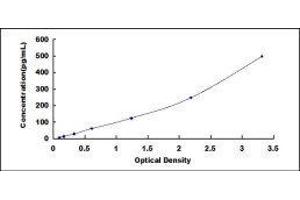 ELISA image for Chemokine (C-X-C Motif) Ligand 3 (CXCL3) ELISA Kit (ABIN417157)