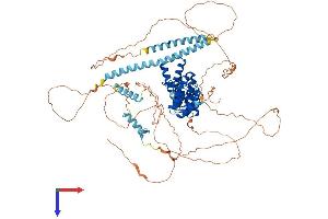 KN Motif and Ankyrin Repeat Domains 2 (KANK2) (AA 1-843) protein (His tag)