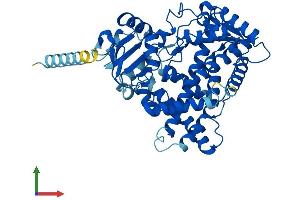 AlphaFold protein structure predicition of Mouse Recombinant Cyp2c38 Protein, UniprotID P56655