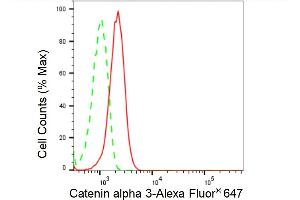 Flow cytometric analysis of Catenin alpha 3 expression in HepG2 cells using Catenin alpha 3 antibody (, 1:2,000). (Rekombinanter CTNNA3 Antikörper)