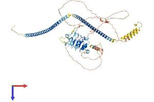 CEP72 Protein (AA 1-647) (His tag)