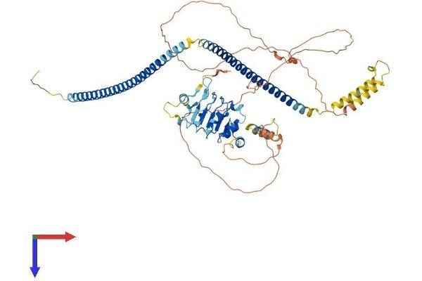 CEP72 Protein (AA 1-647) (His tag)