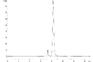 Size-exclusion chromatography-High Pressure Liquid Chromatography (SEC-HPLC) image for Lipocalin 2 (LCN2) (AA 21-198) protein (Fc Tag) (ABIN7275321)