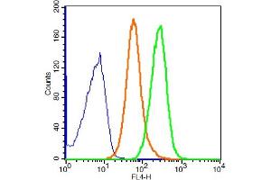 293T cells probed with GADD34 Polyclonal Antibody, ALEXA FLUOR® 647 Conjugated (bs-10287R-A647) at 1:100 for 30 minutes compared to control cells (blue) and isotype control (orange). (GADD34 Antikörper  (AA 401-500) (Alexa Fluor 647))