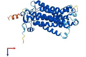 AlphaFold protein structure predicition of Mouse Recombinant Paqr6 Protein, UniprotID Q6TCG5 (PAQR6 Protein (AA 1-343) (His tag))