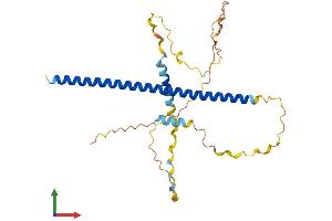 Protein Structure (PS) image for Activating Transcription Factor 5 (ATF5) (AA 1-282) protein (His tag) (ABIN7552438)