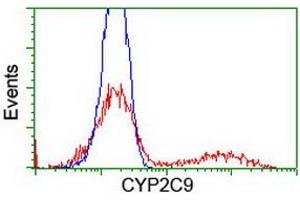 Image no. 3 for anti-Cytochrome P450, Family 2, Subfamily C, Polypeptide 9 (CYP2C9) antibody (ABIN1497725)