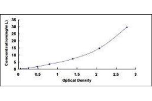 ELISA image for Complement Factor D (CFD) ELISA Kit (ABIN415731)
