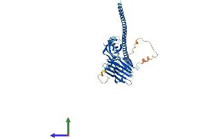 Protein Structure (PS) image for Fibronectin Type III and SPRY Domain Containing 1 (FSD1) (AA 1-496) protein (His tag) (ABIN7547873)