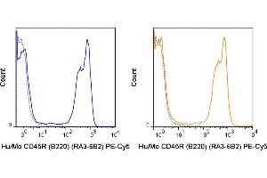 C57Bl/6 splenocytes were stained with 0. (CD45 Antikörper  (PE-Cy5))