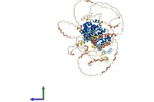 Protein Structure (PS) image for TBC1 Domain Family, Member 30 (TBC1D30) (AA 1-924) protein (His tag) (ABIN7555709)