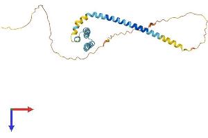 Receptor Accessory Protein 4 Protein (REEP4) (AA 1-257) (His tag)