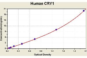 Diagramm of the ELISA kit to detect Human CRY1with the optical density on the x-axis and the concentration on the y-axis. (CRY1 ELISA Kit)