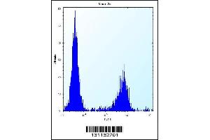 Flow cytometric analysis of Neuro-2a cells (right histogram) compared to a negative control cell (left histogram). (MAN2A2 Antikörper  (AA 767-796))