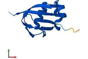 Protein Structure (PS) image for Molybdenum Cofactor Synthesis 2 (MOCS2) (AA 1-88) protein (Fc Tag) (ABIN7549442)