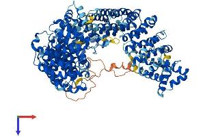 Importin 8 Protein (IPO8) (AA 1-1010) (His tag)