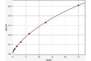 STEAP1 ELISA Kit