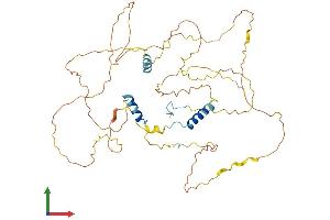Protein Structure (PS) image for GC-Rich Promoter Binding Protein 1-Like 1 (GPBP1L1) (AA 1-474) protein (His tag) (ABIN7548023)