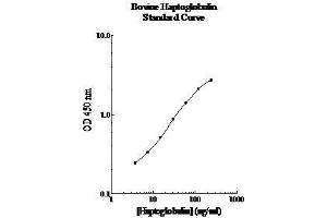ELISA image for Haptoglobin (HP) ELISA Kit (ABIN612672)