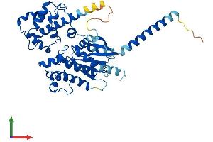 Protein Structure (PS) image for GNAS Complex Locus (GNAS) (AA 1-394) protein (His tag) (ABIN7556644)