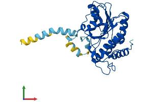 AlphaFold protein structure predicition of Human Recombinant RDH12 Protein, UniprotID Q96NR8