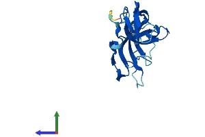 AlphaFold protein structure predicition of Mouse Recombinant Immp2l Protein, UniprotID Q8BPT6