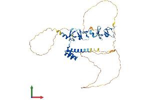 Protein Structure (PS) image for LIM Homeobox 5 (LHX5) (AA 1-402) protein (His tag) (ABIN7556586)