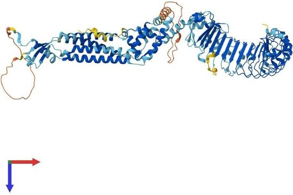LRRC8C Protein (AA 1-803) (His tag)